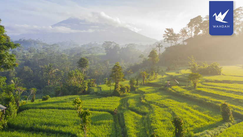 What Souvenir to Buy in Bali | Your Go-To Guide