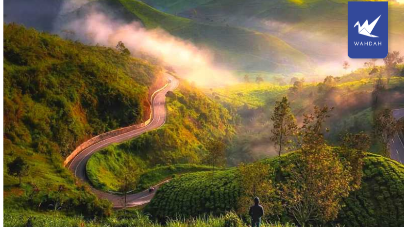 Car Rental Bandung with Driver: Is It Worth It? (Spoiler: Yes, Here is Why)