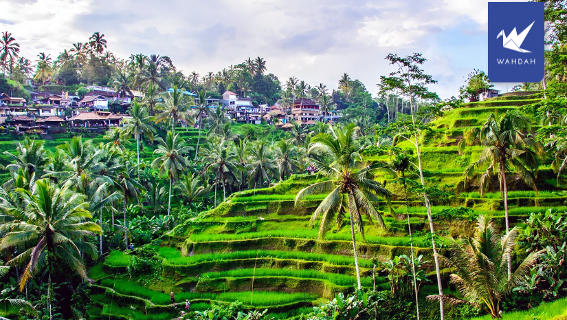 Best Time to Visit Bali: A Month-by-Month Guide for 2026